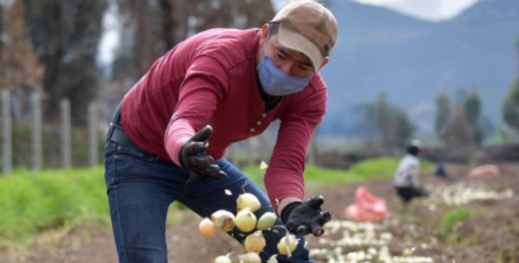 Pandemia en latinoamérica